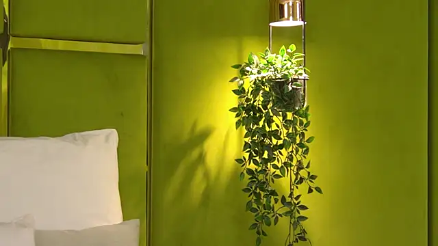 NattyDevon online show from 04/08/26, 05:29