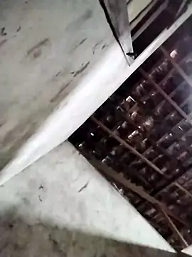 Leonelzain online show from 03/06/26, 04:42