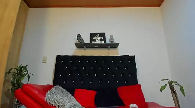 Snapshot of julian_wallace chatting on 02/18/25, 04:48 julian wallace online show from 02/18/25, 04:48