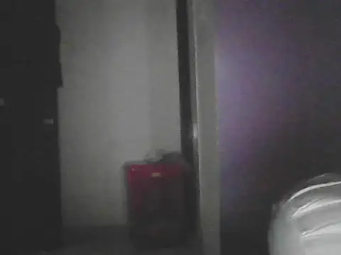Snapshot of pushparajmodda chatting on 10/25/25, 03:36 pushparajmodda online show from 10/25/25, 03:36