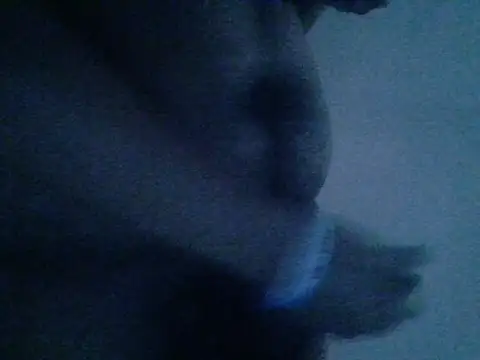 Snapshot of mateomalp675_90 chatting on 04/28/26, 03:28 mateomalp675 90 online show from 04/28/26, 03:28