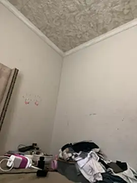 bmw65443 online show from 04/23/26, 11:20