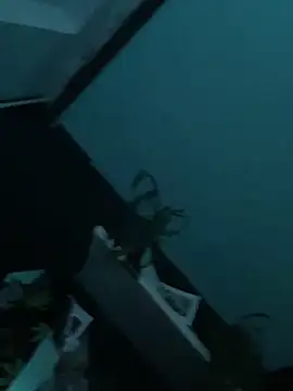 Snapshot of big_cock_is_back chatting on 12/29/24, 01:56 big cock is back online show from 12/29/24, 01:56