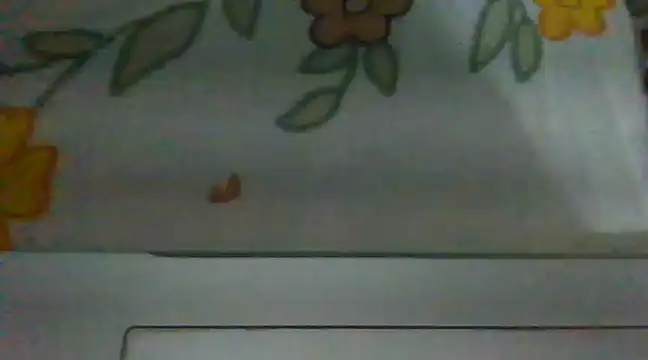 Snapshot of biggest_lund_ chatting on 12/28/24, 12:45 biggest lund online show from 12/28/24, 12:45