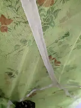 sids0 online show from 12/09/24, 06:14