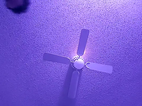 big8dall online show from 09/24/25, 06:50