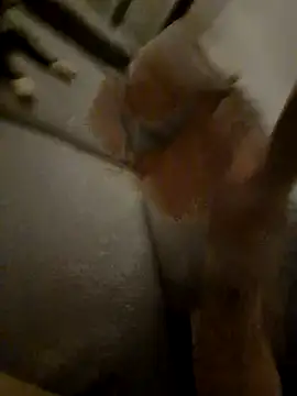 Bretoncool online show from 04/04/26, 08:50