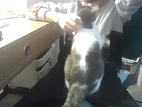 Snapshot of kallaviz chatting on 01/07/26, 07:16 kallaviz online show from 01/07/26, 07:16