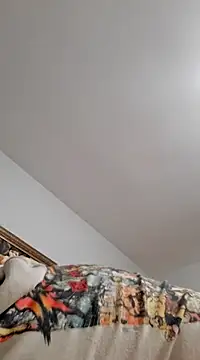 Snapshot of goldycox chatting on 01/18/25, 02:58 goldycox online show from 01/18/25, 02:58