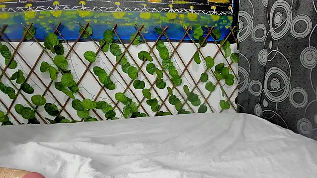 ANEVANS2 online show from 01/13/25, 02:42