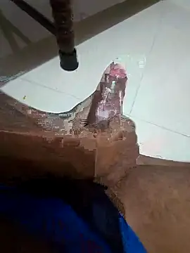 Snapshot of SageElement2 chatting on 11/11/25, 06:19 SageElement2 online show from 11/11/25, 06:19