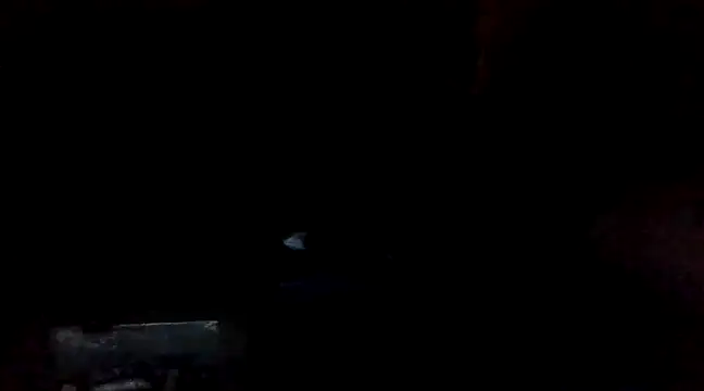 Snapshot of Vicktore007 chatting on 03/01/25, 03:53 Vicktore007 online show from 03/01/25, 03:53