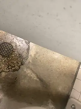 Snapshot of zeekBbc chatting on 12/10/24, 08:38 zeekBbc online show from 12/10/24, 08:38