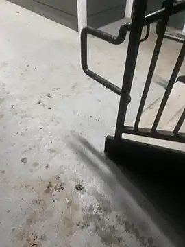 zeekBbc online show from 03/15/26, 09:04