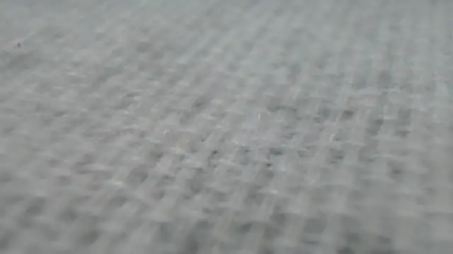  Zooee online show from 01/27/25, 04:22