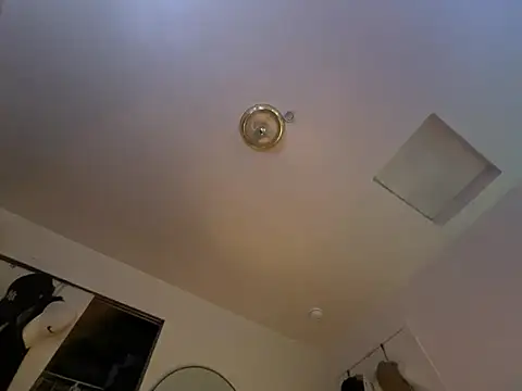 ganosex online show from 12/24/24, 07:17