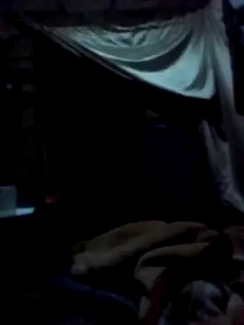 January256 online show from 03/02/26, 10:38