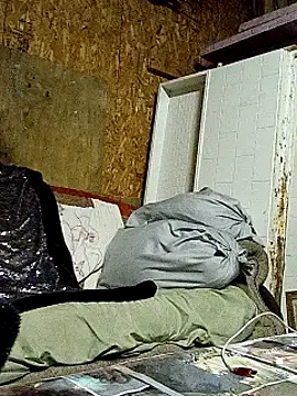 lilbishmiss online show from 10/16/25, 11:50