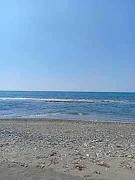 dhaadhawe online show from 04/20/26, 08:06