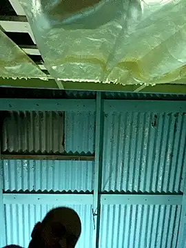 islandvybee55 online show from 01/12/26, 07:24