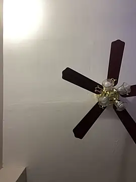 islandvybee55 online show from 04/15/26, 12:01