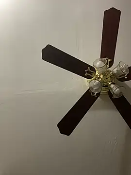 islandvybee55 online show from 04/24/26, 03:14