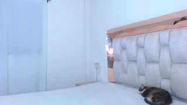 Snapshot of lolaperrys chatting on 12/13/24, 02:10 lolaperrys online show from 12/13/24, 02:10