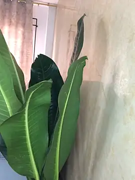 EmmaRossem online show from 03/31/26, 07:36