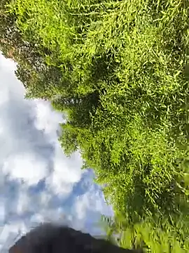 VioletaSubmissive online show from 04/20/26, 10:11