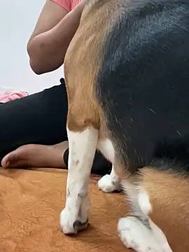 sissarahotty online show from 02/02/25, 11:21