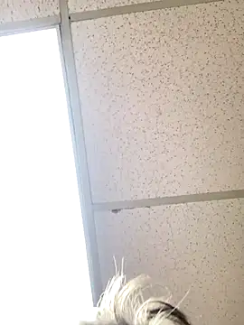 Snapshot of Tonybaloney1972 chatting on 10/31/25, 08:54 Tonybaloney1972 online show from 10/31/25, 08:54