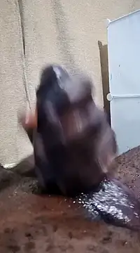 Snapshot of Dick_undisputed chatting on 01/17/25, 12:10 Dick undisputed online show from 01/17/25, 12:10