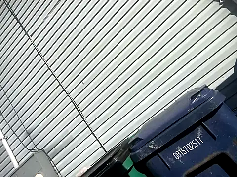 Chico Bellaco online show from 10/06/25, 02:14