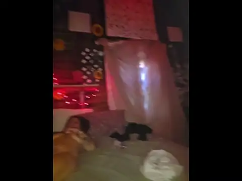 pdoc07 online show from 04/27/26, 05:11