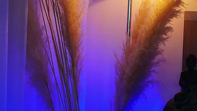 AliceShazaham  online show from 09/12/25, 07:08