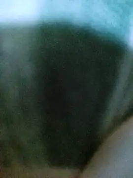 Snapshot of PayalSharmahot143 chatting on 10/02/25, 11:06 PayalSharmahot143 online show from 10/02/25, 11:06