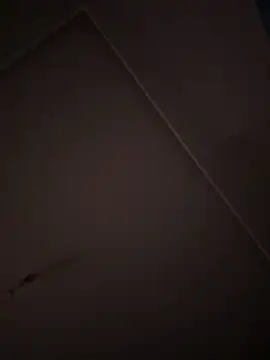 Snapshot of eddy355 chatting on 10/26/25, 09:31 eddy355 online show from 10/26/25, 09:31