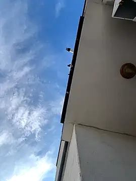 eddy355 online show from 11/09/25, 09:51