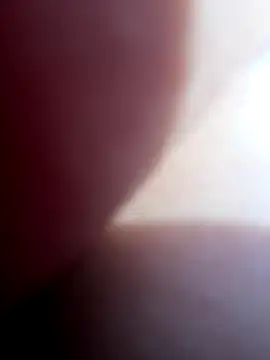 Blue butterfly online show from 09/28/25, 06:13