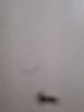 BriannaVincent online show from 09/13/25, 04:01