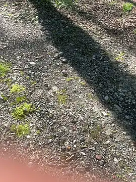 pupine35 online show from 04/03/26, 10:13