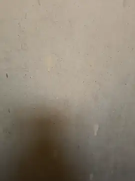 loveme99004 online show from 02/16/26, 02:29