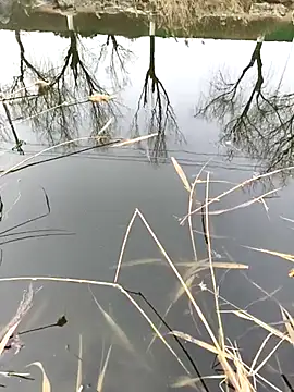 huzi518 online show from 02/27/25, 06:50