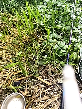 huzi518 online show from 09/27/25, 03:33