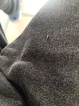 huzi518 online show from 11/03/25, 03:30