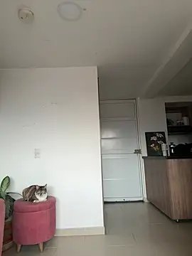 DakotaShelby online show from 04/06/26, 10:22