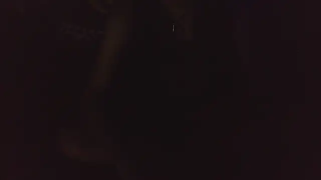 mystical zara online show from 02/19/26, 02:46