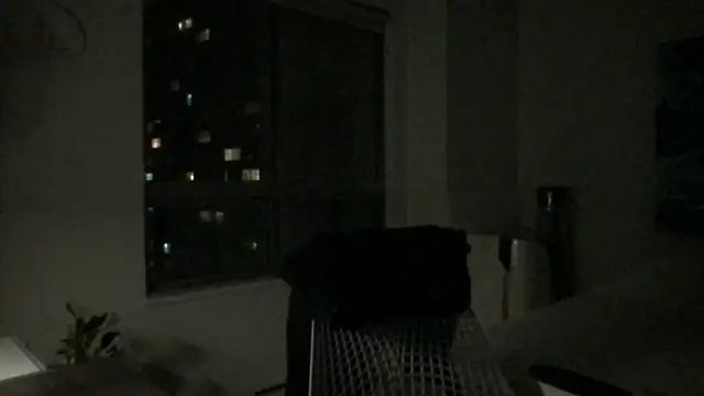 Snapshot of Gingerbushguy chatting on 12/29/24, 09:39 Gingerbushguy online show from 12/29/24, 09:39