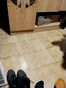 minitranca online show from 10/28/25, 08:22