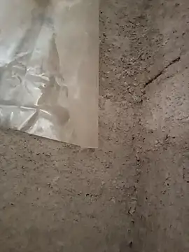 strip 1212 online show from 11/29/25, 05:27